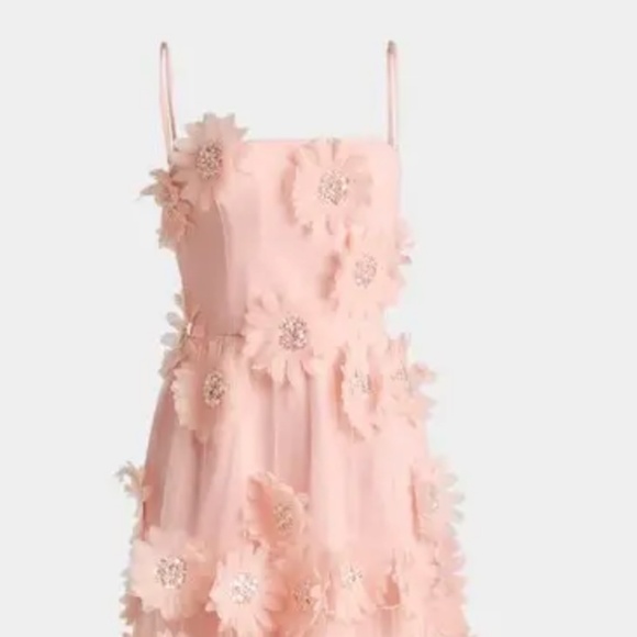 HELSI Exclusive Audrey 3D Floral Midi Dress - Size Small - Picture 1 of 7